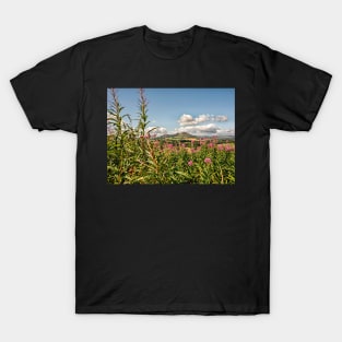 Eildon Hills - Scotland T-Shirt